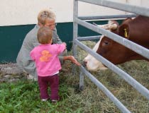 Kind beim Füttern einer Kuh
